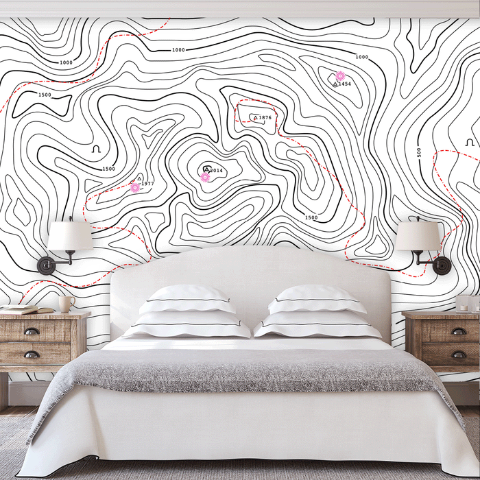 Topographic Maps mural is an illustration in black and white map, Custom Wallpaper Design