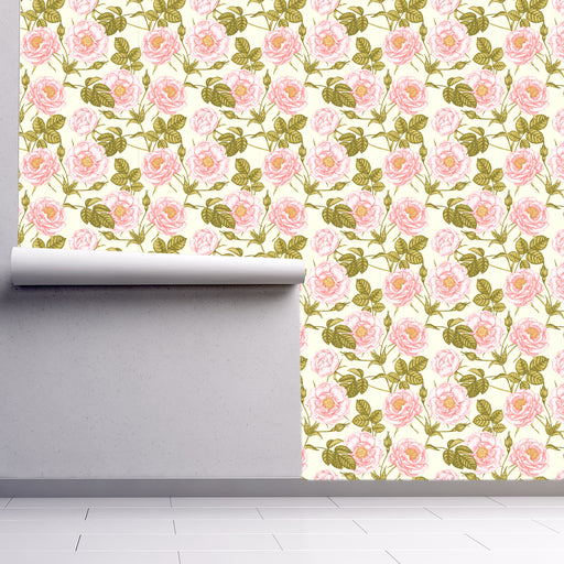 Blushing Blossom wallpaper with large pink roses on cream background, Custom Wallpaper Design