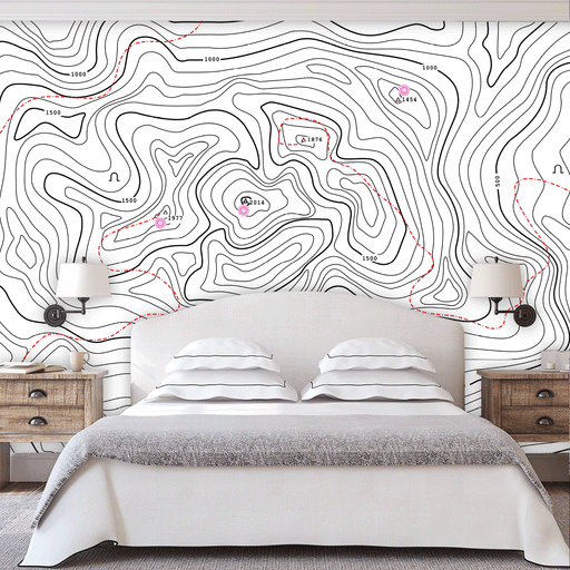 Topographic Maps mural is an illustration in black and white map, Custom Wallpaper Design 