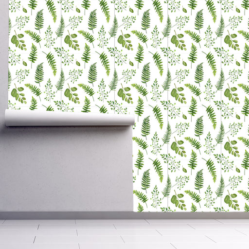 Fantastic Ferns, Custom Wallpaper Design