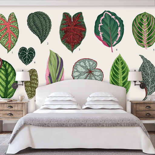 Exotic Leafs mural of 12 illustrated and numbered plant leafs, Custom Wallpaper Design